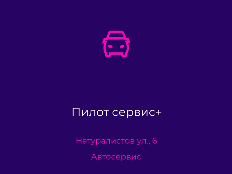 Пилот сервис+