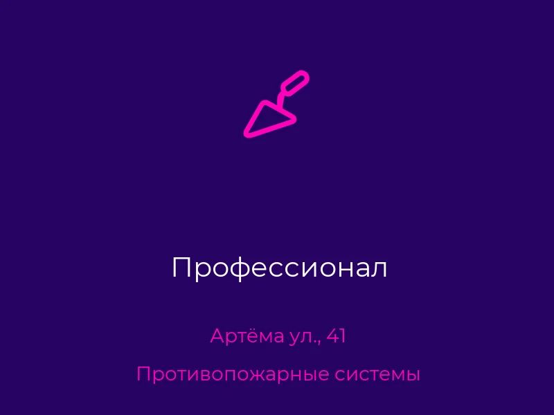 Профессионал