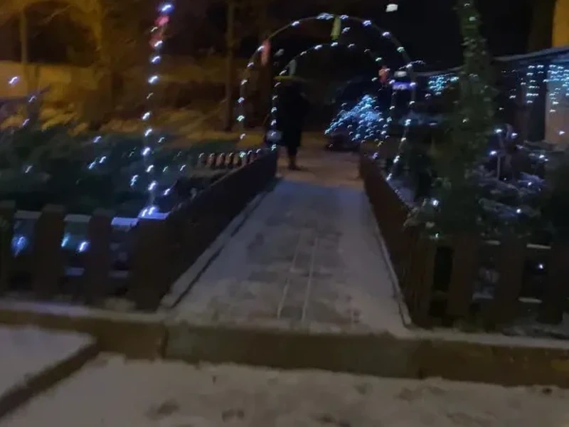 Фото Берлога. Донецк