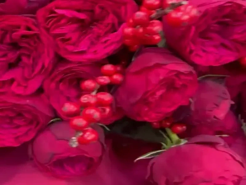 Фото Best Flora. Донецк