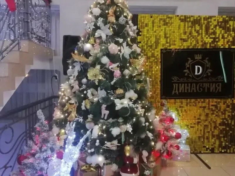 Фото Династия. Донецк