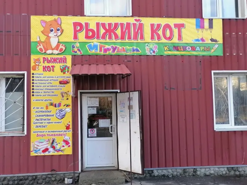 Фото Рыжий кот. Донецк