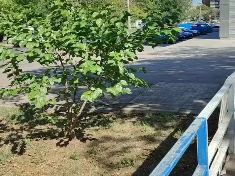 Фото Шоурум Атоми. Донецк