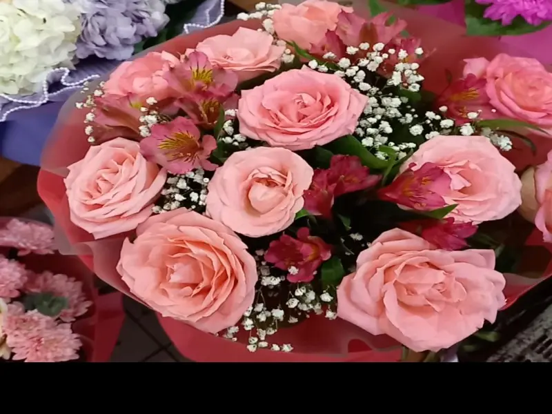 Фото Цветы. Донецк