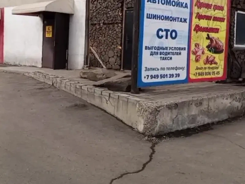 Фото Цыпочки. Донецк