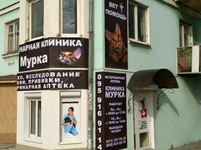 Фото Ветеринарная клиника Мурка. Донецк
